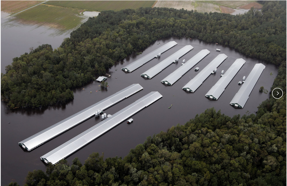 NC Floods.png