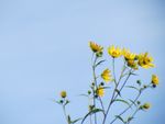 IMG_0756a.JPG