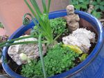 mushroomgarden.jpg