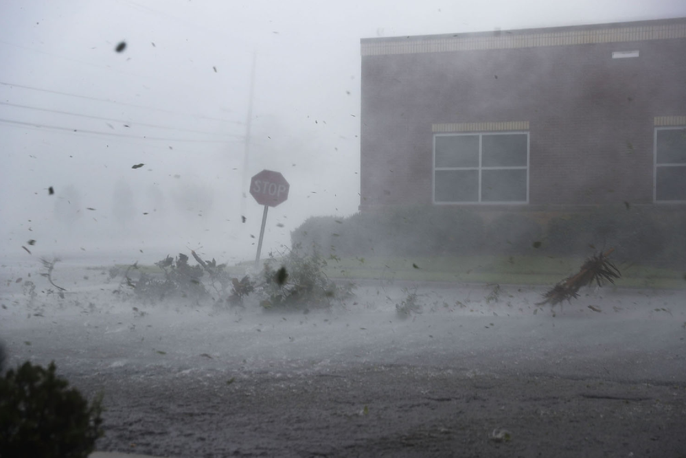 Michael 2.png