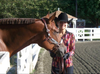 horse1.PNG