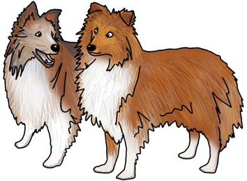-Sheltie Sisters.png
