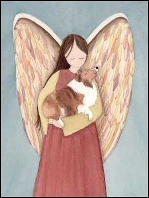 Sheltie Angel-.jpg
