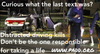 IMG_3491 (1).png