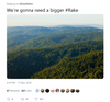 Forest Rake 1.png