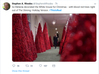 Bllod Trees 1.png
