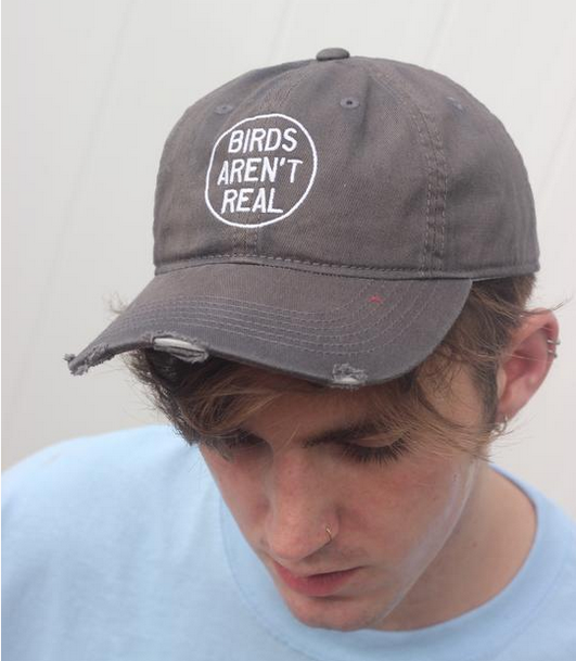Birds Aren't Real 1.png