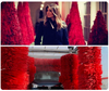 Mealnias Trees At Car Wash 1.png