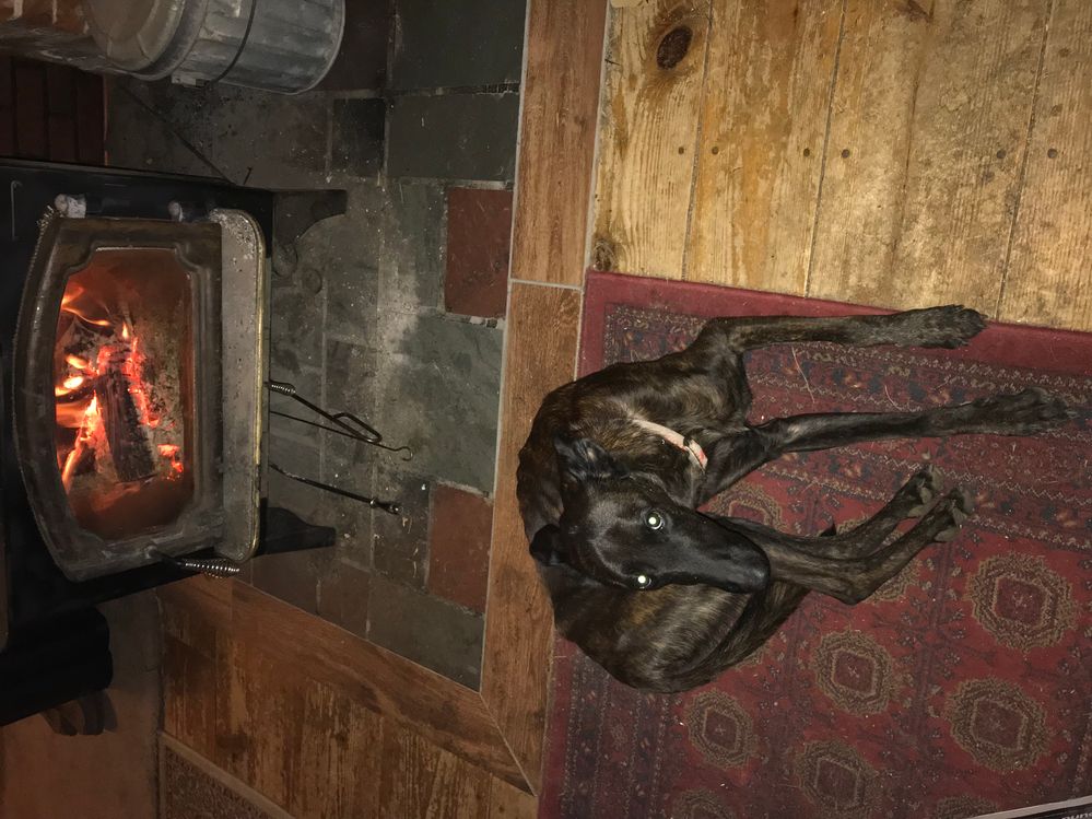 Chelli keeping warm.