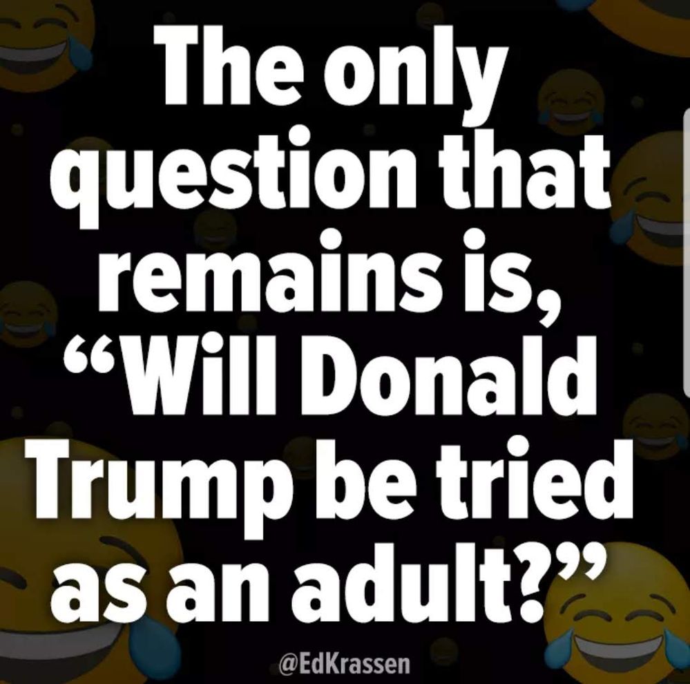 Trump Tried as Adult.jpg