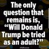 Trump Tried as Adult.jpg