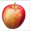 Apple 1.png