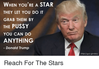 when-youre-a-star-they-let-you-do-it-grab-4559170.png