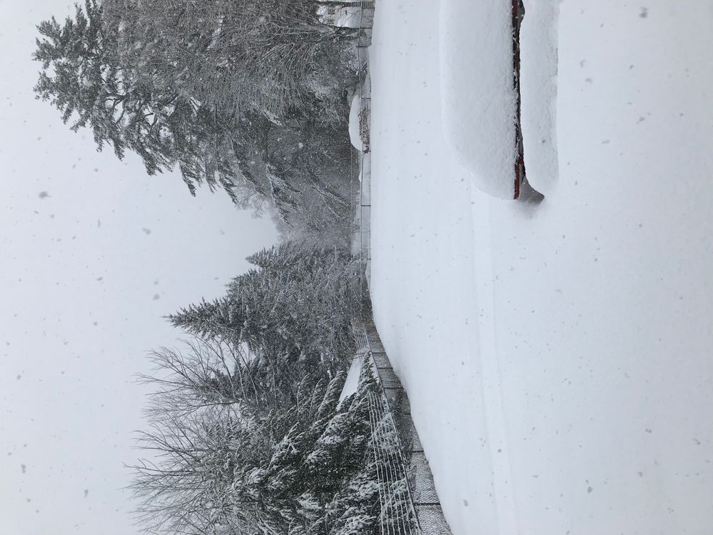 2 1/2 feet from 2 clippers