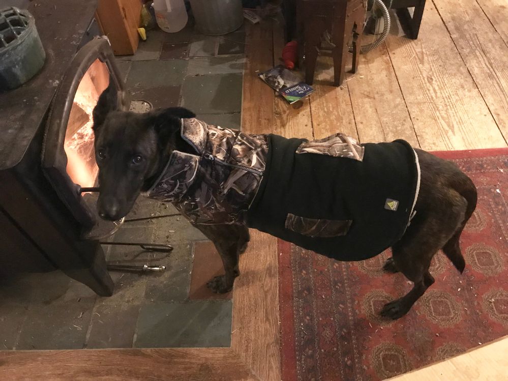 Chelli likes and approves