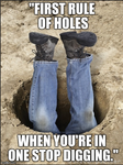 Hole Digging Meme.png