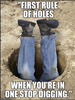 Hole Digging Meme.png