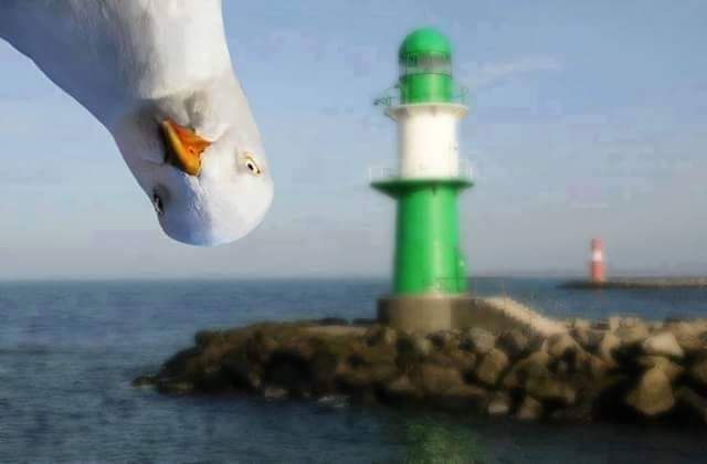 WELCOME WHO IS OUT THERE