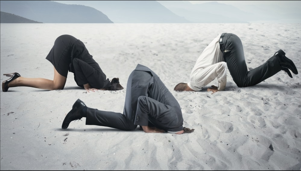 Head in the Sand.png