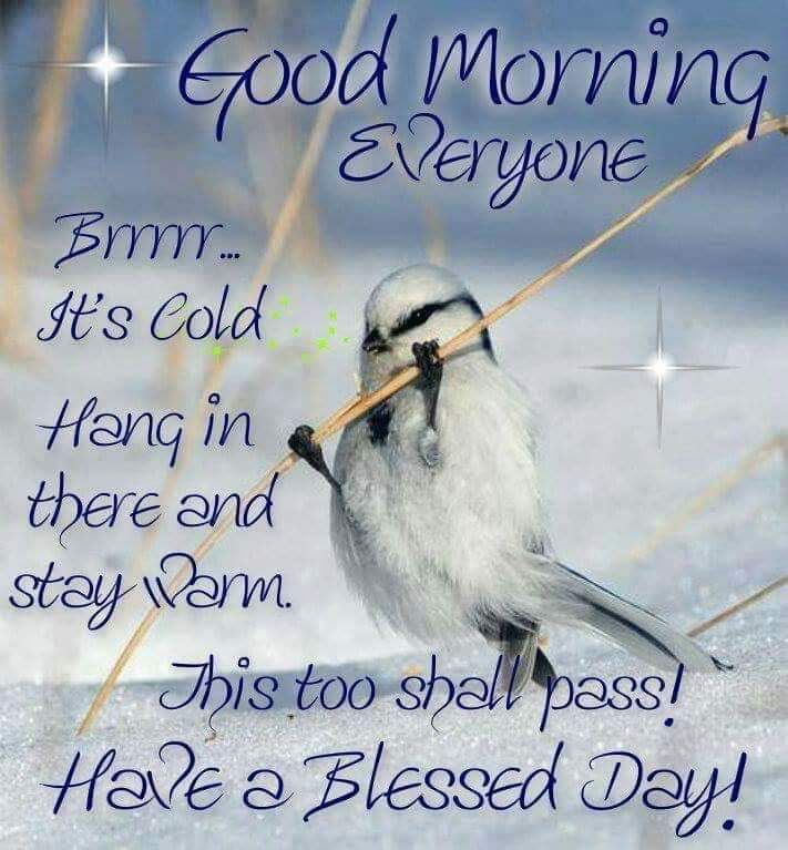 FB_IMG_1548862744392.jpg