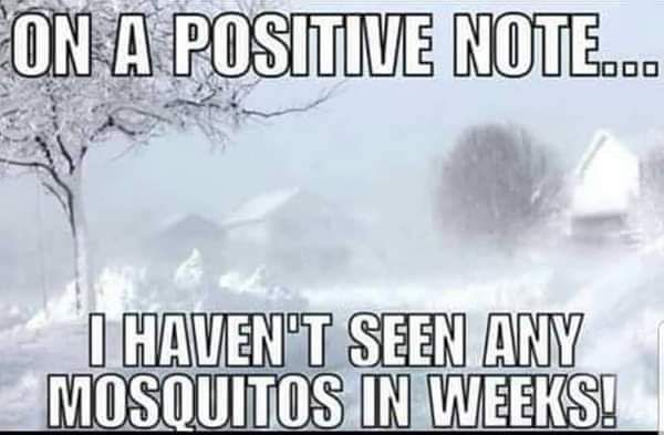 FB_IMG_1548868409529.jpg