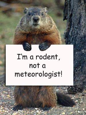 FB_IMG_1549128282703.jpg