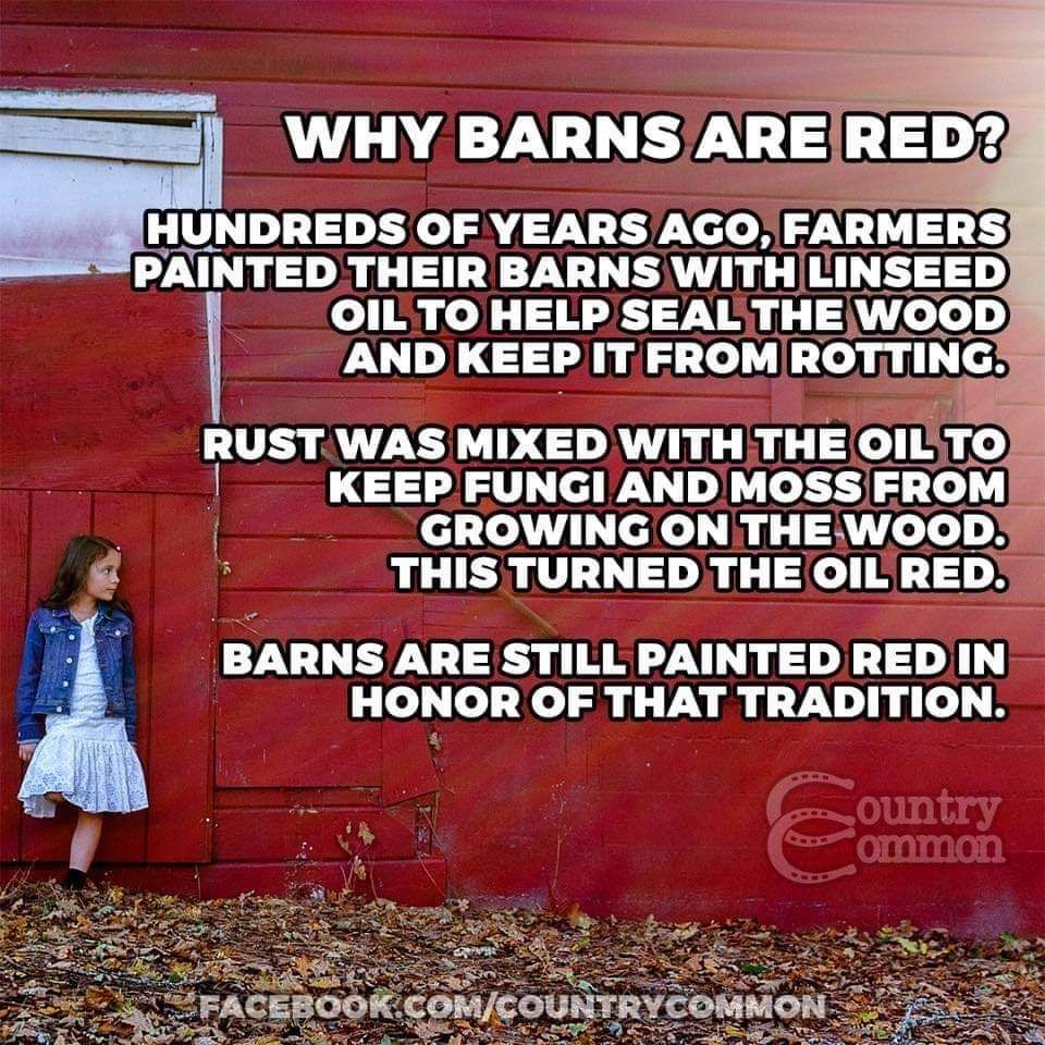 FB_IMG_1549206429409.jpg
