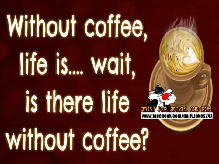 FB_IMG_1521143813623.jpg