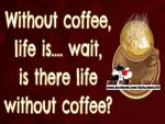 FB_IMG_1521143813623.jpg