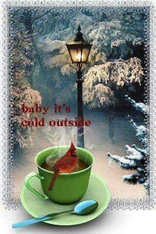 FB_IMG_1543890517705.jpg