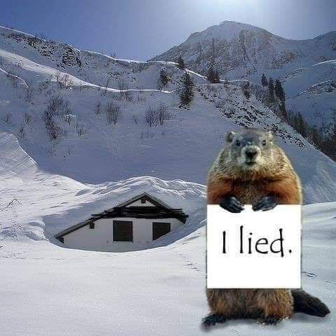 FB_IMG_1549987130978.jpg