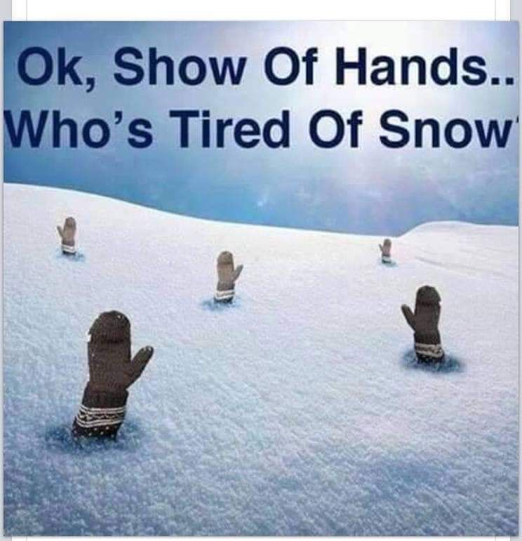 FB_IMG_1550008004980.jpg