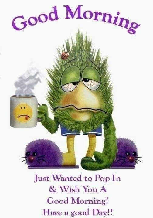 FB_IMG_1549914986904.jpg