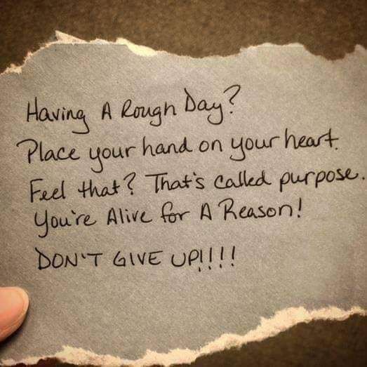 FB_IMG_1549914708084.jpg