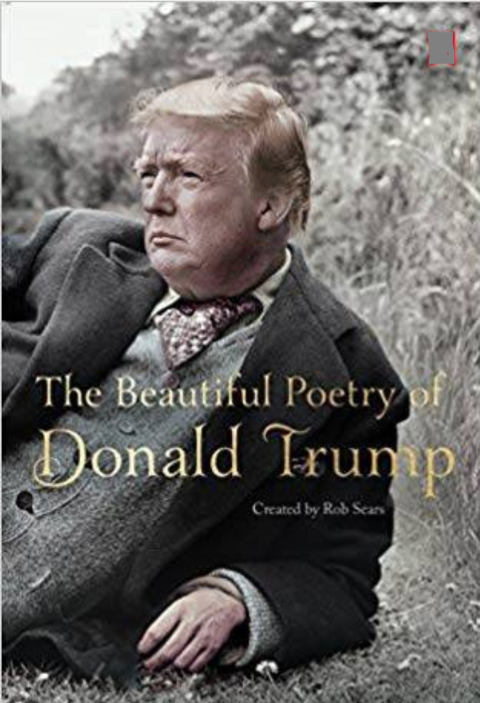 Trump poerty.png
