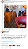 Trump omeleete bar 5.png