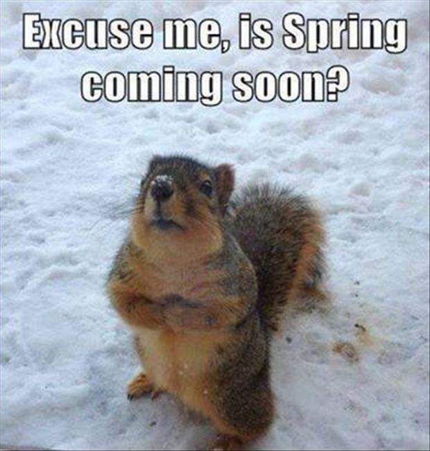 FB_IMG_1550430553949.jpg