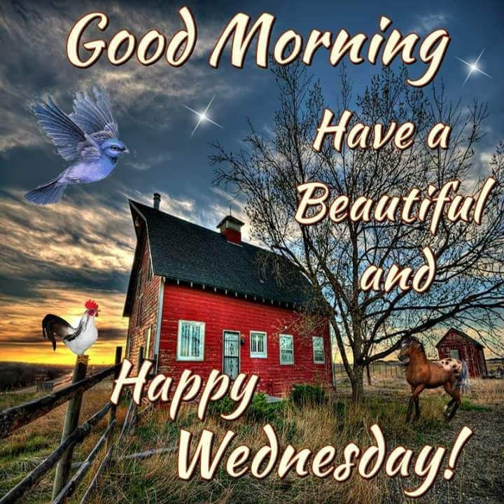 FB_IMG_1522369109433.jpg