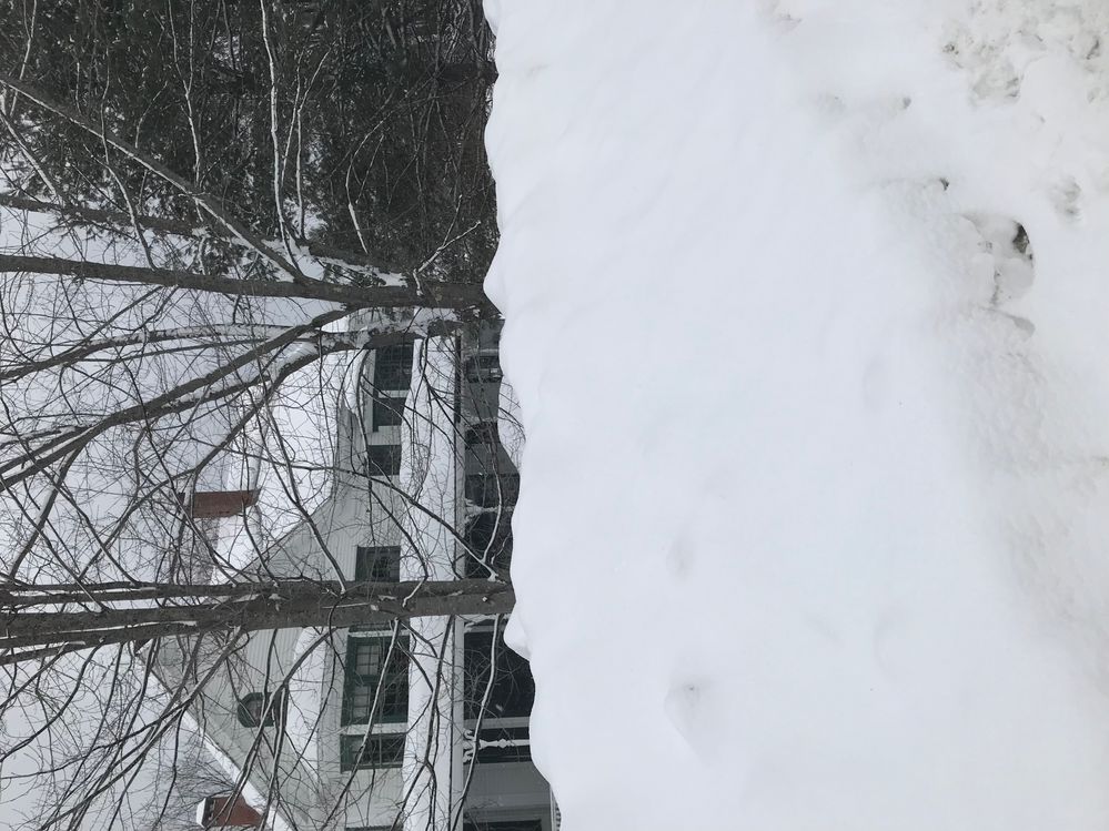 Find the front door?