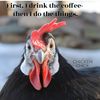FB_IMG_1550416601744.jpg