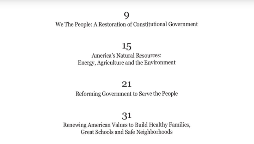 GOP platform 2012.png