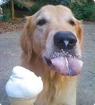 Profile (bluewaterbk)