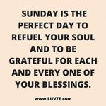 FB_IMG_1551037306830.jpg