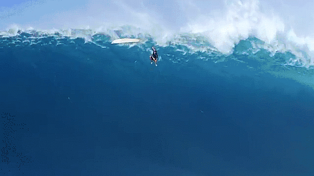 giphy (1).gif
