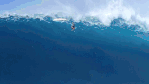 giphy (1).gif