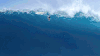 giphy (1).gif