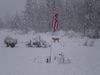 Winter Wonderland