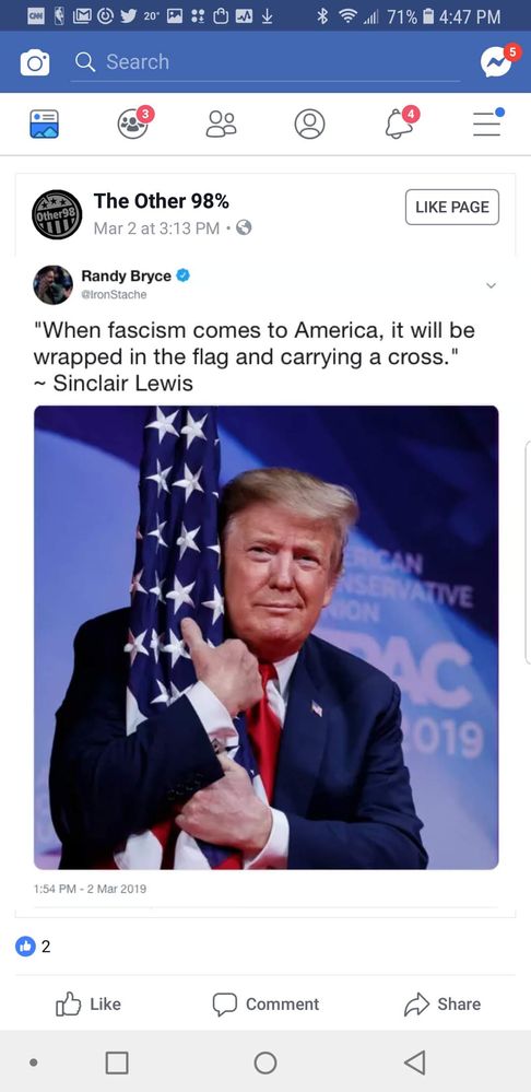 Fascism in America.jpg