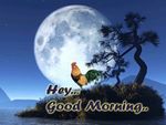 FB_IMG_1551891693510.jpg