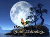 FB_IMG_1551891693510.jpg